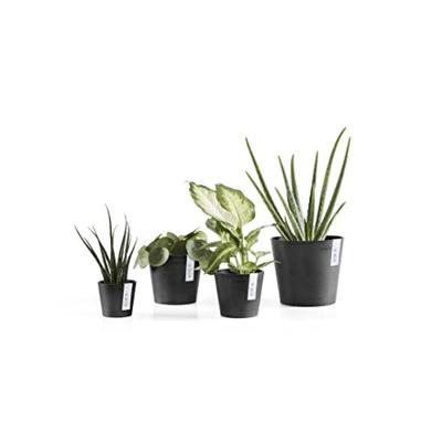 Ecopots Bloempot Amsterdam Mini Ø17cm - Donkergrijs Ecopots Bloempot Amsterdam Mini Ø17cm - Donkergrijs