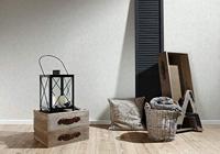 AS Creation Attractive 2 - Wit - 363503 - thumbnail