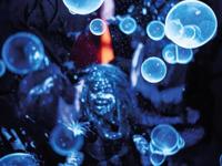 Whadda WSL147 LED-bouwpakket - thumbnail