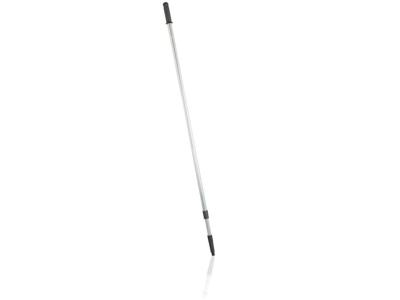 Leifheit 59109 Professional Telescoopsteel 250cm Leifheit 59109 Professional Telescoopsteel 250cm