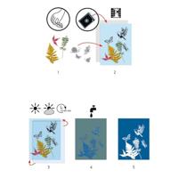 Cyanotype papier - DJECO meerkleurig - thumbnail