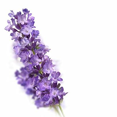 Kneipp Huidolie Relaxing - Lavendel
