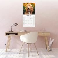 Engelse Cocker Spaniel Kalender 2026 - thumbnail