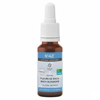 Bach Bloesem Bach bloesems mengeling 42 vertrouwen bio 20 Milliliter - thumbnail