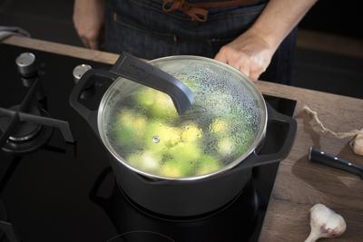 Pan met Deksel Tefal E2494644 Zwart Ø 24 cm