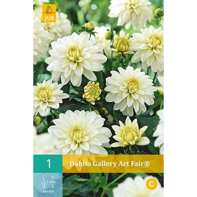 Dahlia Gallery Art Fair Bloembol JUB 1 bol - Jub