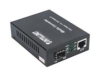 Intellinet 508193 Mediaconverter 10 GBit/s - thumbnail