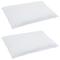 VidaXL Dekbed set met kussen 3 pcs wit donsveertjes - thumbnail