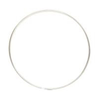 HULA HOOP STAINLESS STEEL EMPTY - thumbnail