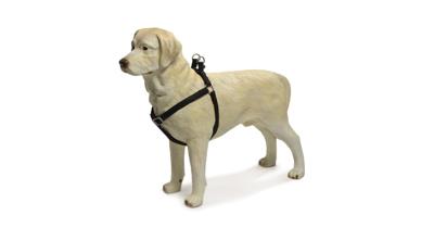 Hondentuig Mac Leather 35-60cm zwart