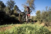 Continental buitenband trinotal trail grip 27.5 x 2.20 zw vouw - thumbnail