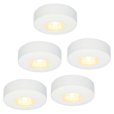 Set van 5 Pavo - Platte LED opbouwspots 23mm - 3W 300lm - 2700K - Dimbaar - Rond - IP44 - Wit