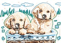 Ravensburger CreArt schilderen op nummer schattige puppy's - thumbnail