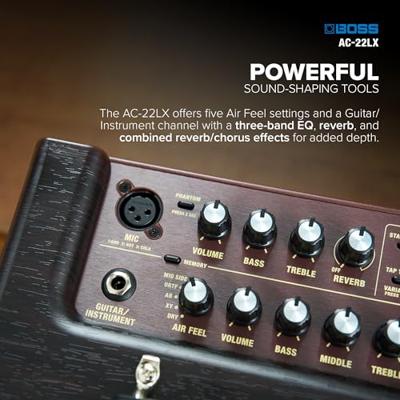 Boss AC-22LX