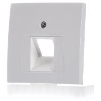 Centraalplaat UAE doos RJ45 Berker S1 polar wit glanzend 14078989 - thumbnail