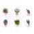 Dunlop BL100P60 Alan Forbes plectrums 0.60mm (6 stuks) Dunlop BL100P60 Alan Forbes plectrums 0.60mm (6 stuks)