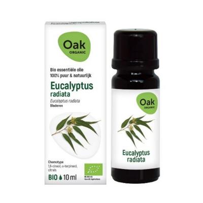 Oak Organic Eucalyptus Radiata Olie