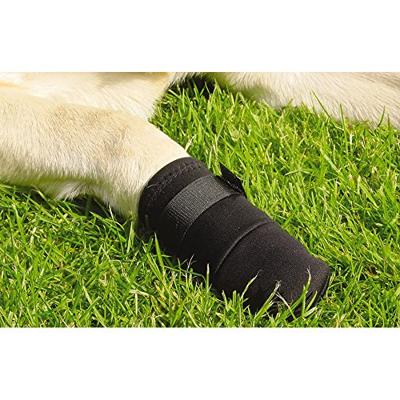 Beeztees Beschermingsschoen Zwart M 2st