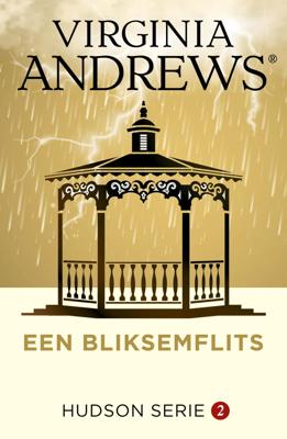 Een bliksemflits (Paperback)