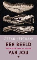 Een beeld van jou - Stefan Hertmans - ebook - thumbnail