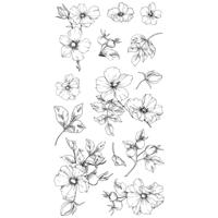 Sizzix • clear stamps set 13pcs wildflower botanicals - thumbnail