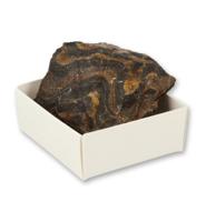 Ruben Robijn Ruben Robijn Stromatoliet Doosje (1st) - thumbnail