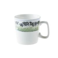 Wiebe van der zee Bekers Nieuwe Buren 6x - thumbnail