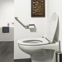 Veiligheidsgreep met Toiletrolhouder Tiger Boston Comfort en Safety Links RVS - thumbnail
