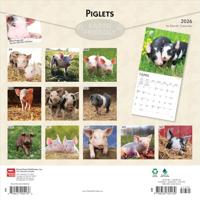 Varken Kalender 2026 - thumbnail