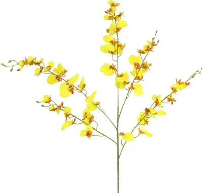 Countryfield kunsttak phalaenopsis 93cm geel