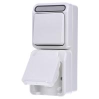 Merten 4074998 AquaStar Compleet Schakel-/stopcontact combinatie spatwaterdicht Polar-wit 1 stuks 1 stuk(s)