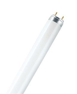 OSRAM HOMELIGHTING TL-lamp Energielabel: G (A - G) G13 58 W Warmwit Buis (Ø x l) 25.5 mm x 1514.2 mm 1 stuk(s)