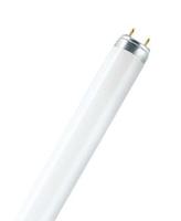 OSRAM HOMELIGHTING TL-lamp Energielabel: G (A - G) G13 58 W Warmwit Buis (Ø x l) 25.5 mm x 1514.2 mm 1 stuk(s) - thumbnail