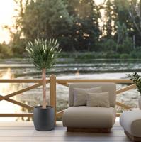 Kunstlavendel bol op stam 120cm UV Wit - thumbnail