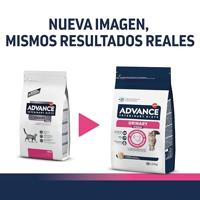 ADVANCE VETERINARY DIET CAT URINARY STRESS - thumbnail
