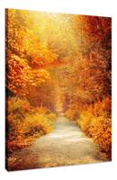 Schilderij - Herfstpad door het Bos, Premium Print, Wanddecoratie - thumbnail