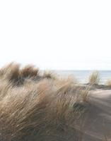 Noordwand Smart Art Easy Fotobehang duinen 47219 - thumbnail