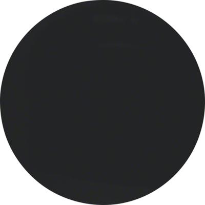 Berker wip R1-R3 zwart 16202045 let op schakelaar apart bestellen Berker wip R1-R3 zwart 16202045 let op schakelaar apart bestellen