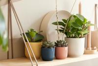 Vibes Fold Rond Mini dia 7 cm bloempot zijdewit elho - Elho - thumbnail