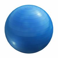 Fitnessbal Blauw 55 cm incl. pomp - thumbnail
