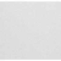 VidaXL Vliesbehang 3d effen 10x0,53 m wit - thumbnail