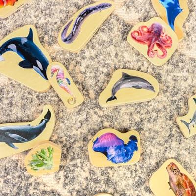 Tickit Houten Blokken Zeeleven