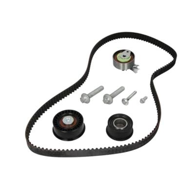 Distributieriemset 530044310