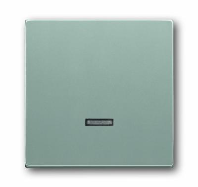 Busch-Jaeger 6543-83-101 2CKA006599A2887 Toegangsmodule Zonder opdruk Aluminium, Witaluminium (RAL 9006) 1 stuk(s)