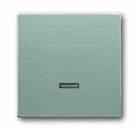Busch-Jaeger 6543-83-101 2CKA006599A2887 Toegangsmodule Zonder opdruk Aluminium, Witaluminium (RAL 9006) 1 stuk(s) - thumbnail