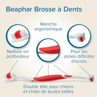 BEAPHAR TANDPASTA EN BORSTEL COMBI-PACK