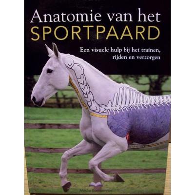 Anatomie van het sportpaard maat:-leeg-
