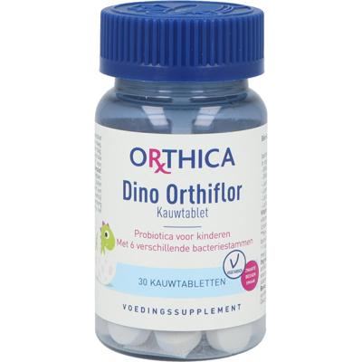 Dino Orthiflor