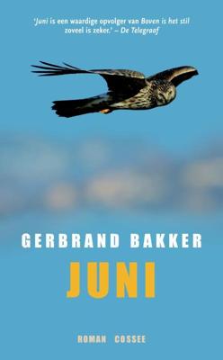 Juni - Gerbrand Bakker - ebook