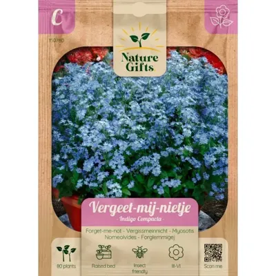 Vergeet-mij-nietje indigo compacta 801st